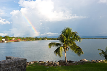 Palmtree and rainbow in the caribean