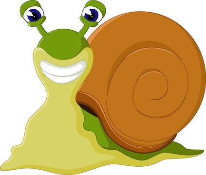 illustration of Snail cartoon