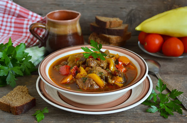 Vegetable stew with meat 