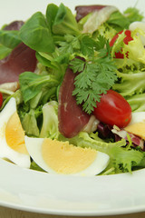 salade de magret  21122015