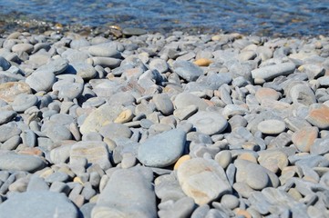 sea stones