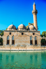 Ancient Ottoman mosque built over natural small lake in Turkey located in Urfa or Sanliurfa city,Turkey
