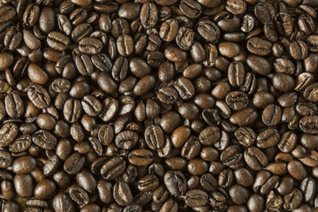 coffee beans background