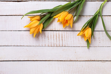 Yellow tulips flowers  on white  painted wooden planks.