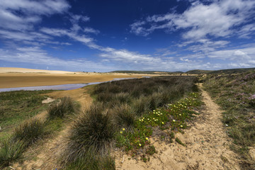 Idyllische Küstenlandschaft an der Algarve