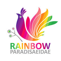 Rainbow Paradisaeidae.