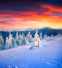 Colorful winter scene in the snowy mountain.