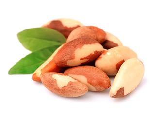 Brazil nuts.