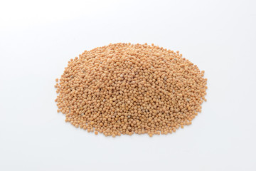 マスタードシード