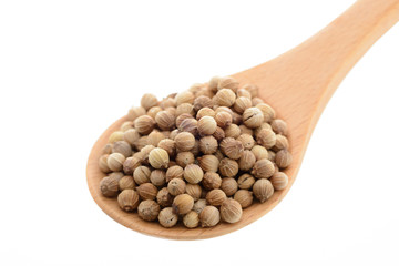 コリアンダーシード