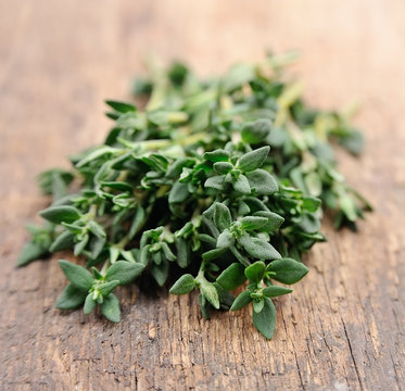 Thyme herbs close up