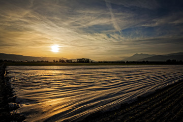 tramonto su campi coperti con teli