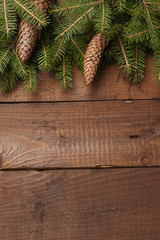 Christmas tree branch, pine cones