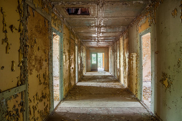 mystical corridor in an abandoned ruin
