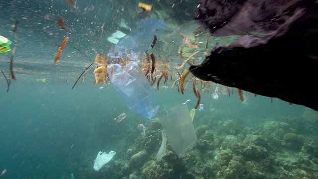 Plastic bags and other trash floating underwater over fragile coral reef in Bunaken Island, Sulawesi 