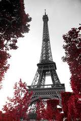 Obrazy  fotografia w podczerwieni Wieża Eiffla