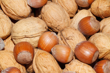 Walnüsse, Haselnüsse, Nüsse,  geerntet