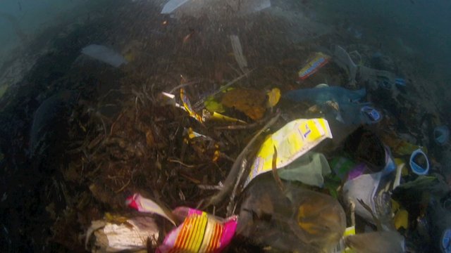 Plastic garbage and other debris floating in the tide mark underwater in Bunaken Island, Sulawesi 