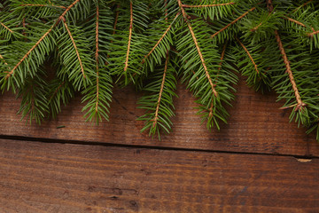 Naklejka premium Christmas tree branch, pine cones