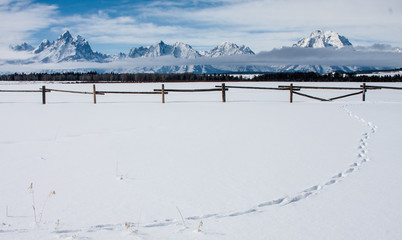 snowy tetons western fence and pure snow with line of tracks - 98590755