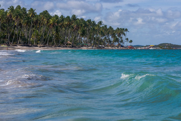 Beach of Carneiros, Tamandar?-Pernambuco