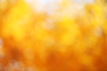Blurred golden autumn leaves, close up