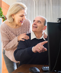 Senior couple using PC at home