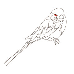 vector design paint bird