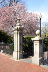 Fototapeta na wymiar Boston Common and Public Garden, USA..