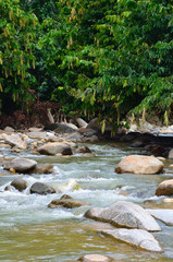 Naklejka na ściany i meble Janda Baik river , Malaysia..