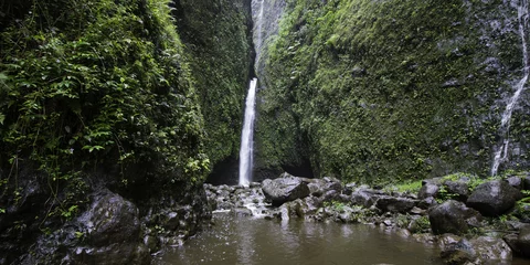 Fototapeten Sacred Falls on Oahu © jbentley09