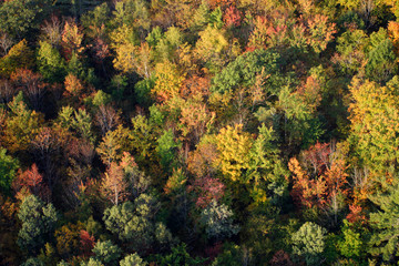 An aerial view of a hot air balloon floating over the Vermont country side ..