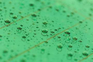 drop water on the green mirror of car after rain