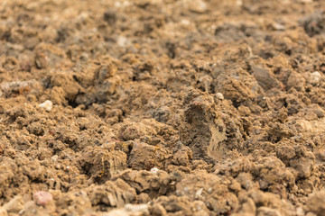 clay ground texture