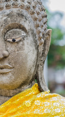 Buddha statues in Ayutthaya,Watyaichaimongkol Thailand