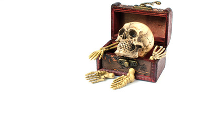 skull and bone in vintage wooden box on white background