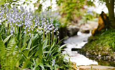 Obraz premium spring garden