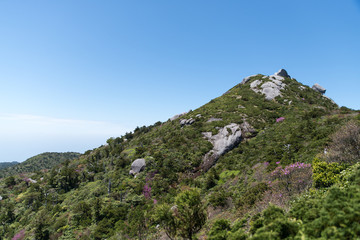Obraz premium The view from the summit World Heritage Yakushima
