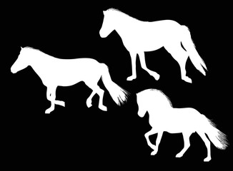 Fototapeta na wymiar three white running horses on black