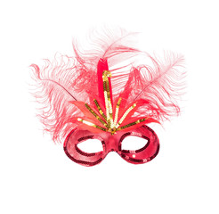 feathered mardi gras mask