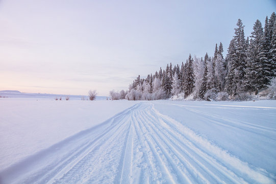 Siberia