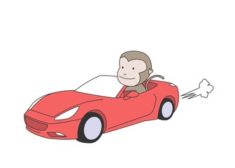 cooltree1512_동물캐릭터_원숭이