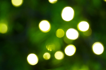 Obraz premium bokeh of christmas tree for holiday background