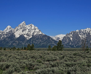 Grand Tetons mountain range in Grand Tetons National Park NP in Wyoming United States USA