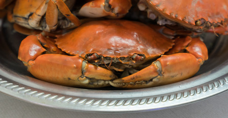 boiled crab
