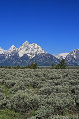 Grand Tetons mountain minaret peaks in Grand Tetons National Park in Wyoming in western United States