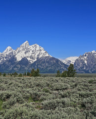 Grand Tetons mountain range in Grand Tetons National Park in Wyoming in western United States