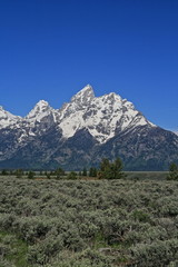Grand Tetons mountain peaks in Grand Tetons National Park in Wyoming in western USA