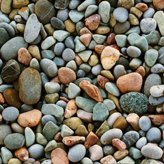 Multicolored sea pebbles