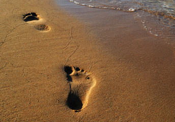 Footprint on the sand